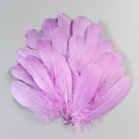 A set of goose feathers 13-18 cm, 20 pcs, light purple-1
