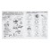 Workbook “We are talking correctly. Divide the words into syllables "