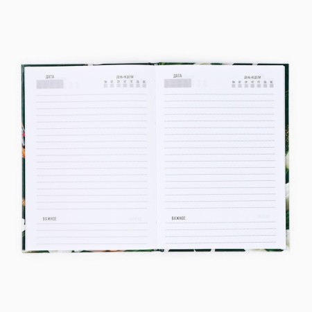 Gift set "Dear Teacher": planing, diary, pen, thermostatic-2