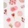 Nail slider 6.5*5.5cm BN-2126 (FAS 6pcs Price per pcs) CAP
