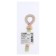 Anchor bolt, with a ring, galvanized, 12x70 mm
