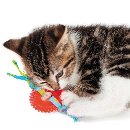 Petstages dental toy "Wheel" for cats-2
