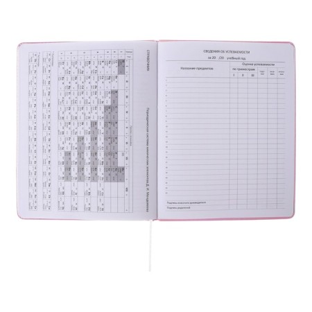 Universal diary for grade 1-11 Bear King, solid cover, artificial leather, foam rubber, silkography, liesse, 80 g/m2-10