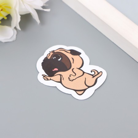 Stickers stickers for scrapbooking "POPS" 9-337-1