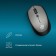 Mouse call 488MW Black/Gray optical (1600DPI) Wireless USB for a laptop (4but)