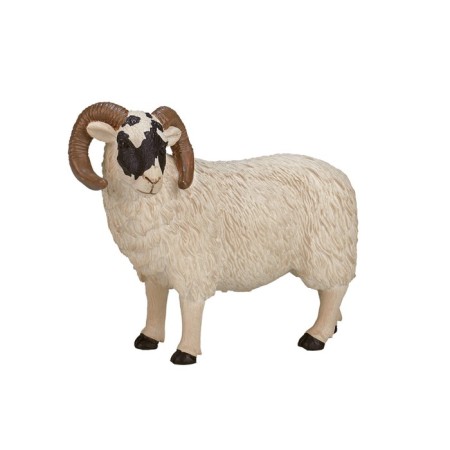 Figure Konik "Scottish black -headed ram"-1