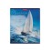 Notebook 24 sheets in the Erichkrause Regata de Vela cage, cover shaking cardboard, offset block, whiteness 100% whiteness, mix