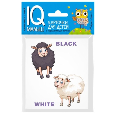 Package. Mini-comprehensive IQ-game for learning English. Level 4-8