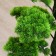 Artificial tree "Bonsai Kabudati" 70 cm