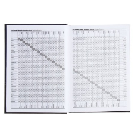 The diary is half-dantered for 4 years A5, 192 sheets, solid cover, silk, gray-blue-5