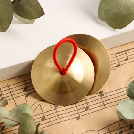 Musical instrument of plate manual Music Life 5.5 cm