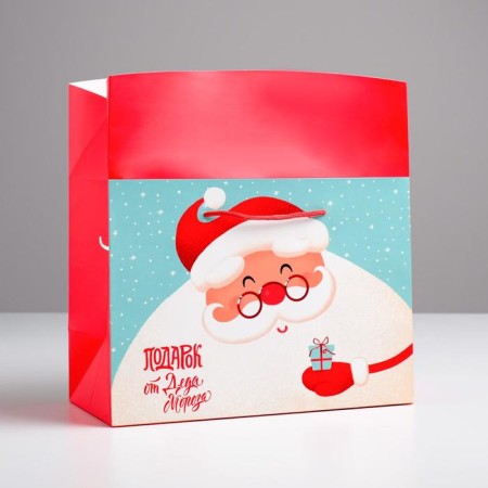 Santa Claus Package Corps, 28 x 20 x 13 cm, New Year-3