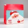 Santa Claus Package Corps, 28 x 20 x 13 cm, New Year