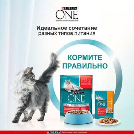 Dry food Purin One for sterilized cats, beef/wheat, 3 kg-4