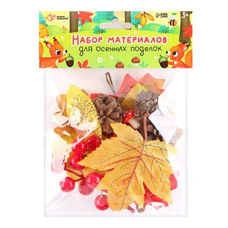 Set for creativity "Materials for autumn crafts. Leaves, cones "-4