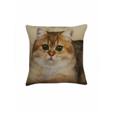 Decorative pillow on the sofa 