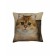 Decorative pillow on the sofa "Cat Golden Chinchilla", size 40x40 cm