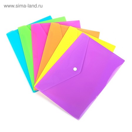 A set of 12 pieces, a button folder, A5 A5 180 MKR format, Assorted, Calligrata