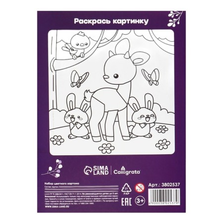 Cardboard of color two -sided A5, 8 sheets, 8 colors "Olena", non -220 g/m2, in the folder-2