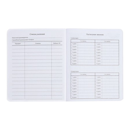 Universal 1-11 class diary, 48 sheets "main ducks", color printing, block 65g/m2-4