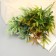 Bouquet "Fern Forest" 33 cm, mix