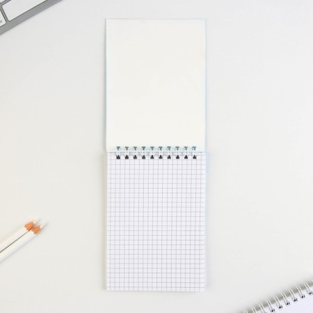 Notepad A6, 40 liters on the crest, soft cover "Raccoon - Notepad"-1