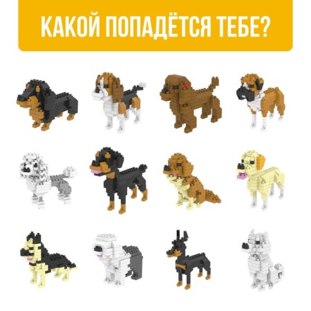 Designer - Surprise Cute Dogs-1