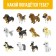 Designer - Surprise Cute Dogs