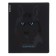 Notebook of 48 sheets in the Erichkrause "Gaze" cage, Soft-Touch lamination, offset 100%, mix