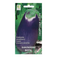 Seeds of eggplant 