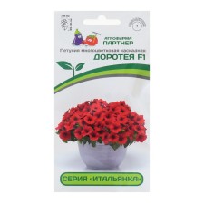 Flowers of Petunia 