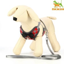 A set of ammunition with a soft harness, s, leash 120 x 1 cm, Osh 20-40 cm, og 30-44 cm, red 47310