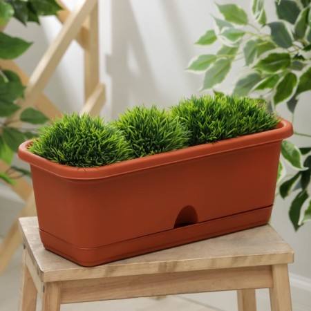 Balcony box with pallet, 40 cm, terracotta color