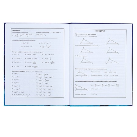 Universal Grade 1-11 Diary, 48 sheets "Magic World", hard cover, Soft Touch lamination, foil embossing, offset block-9