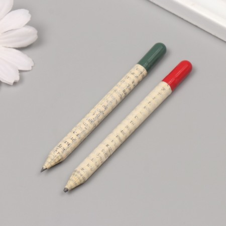 Growing gift pencils Mini "Lion Zev + Clove" set 2 pcs.-3
