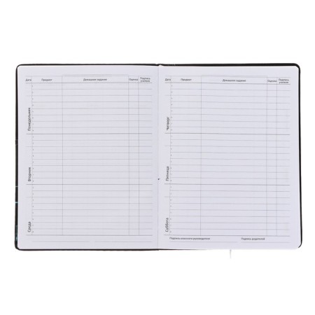 Universal LEADER 1-11 diary, firm covering with foam rubber, artificial leather, silkography, lies, block 80 g/m2-4