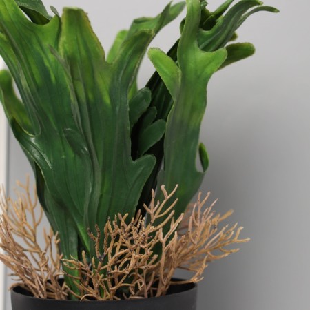 Bonsai in the pot "Calla premium extram" 24x10.5 cm, mix-1
