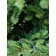 Artificial spruce Green Trees "Monteria", Lux, 180 cm