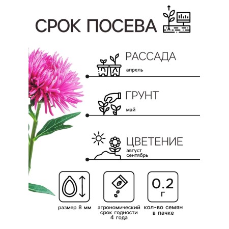 Classes Astra, a mixture of colors, 0.2 g-1