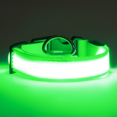 Collar with backlight size m, Osh 40-48 x 2.5 cm, 3 glow modes Green-3