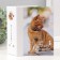 Photo album for 100 photos "cat-4, red cat" 10x15 cm