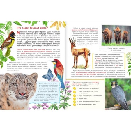 Red book for children-1