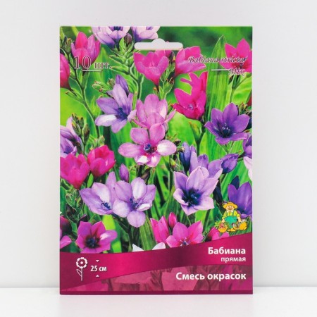 Babiana Direct mixture of colors, 10 pcs, rr 5+, spring 2025