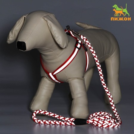 Set "braid", fluorescent, leash 115 x 1 cm, og 32-48 x 1.5 cm, red