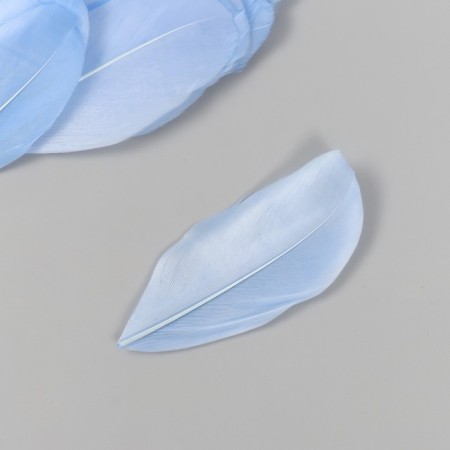 Decorative goose "Heavenly" pen in the shape of a sheet set 40 pcs h = 5-7 cm-2