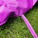 Willy pillow, size 42x148 cm, purple color