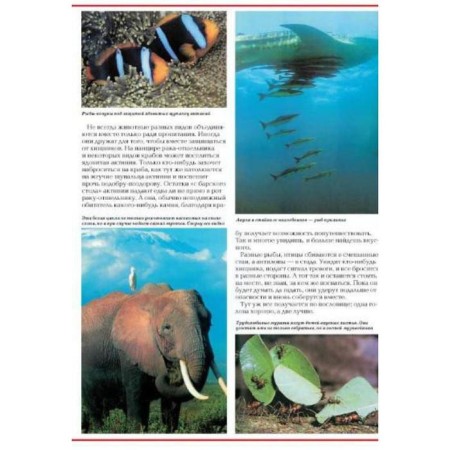Riddles of the animal world-5