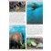 Riddles of the animal world