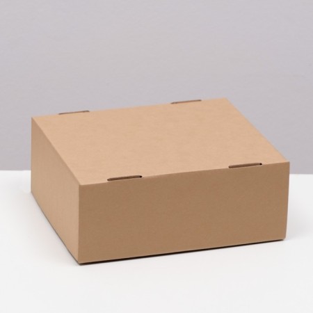Box the team, cover, "brown" 25 x 21 x 10 cm-1