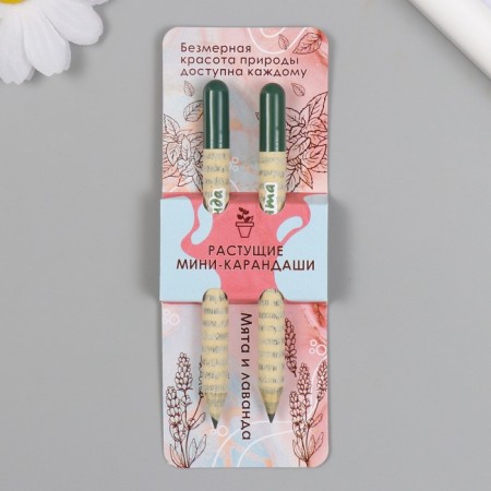Growing gift pencils Mini "Mint and Lavada" set 2 pcs